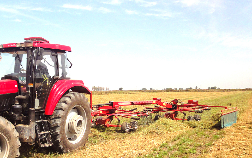 標(biāo)題：9LSQ-5.3型多功能水平旋轉(zhuǎn)摟草機(jī)
瀏覽次數(shù)：42
發(fā)表時(shí)間：2023-12-12