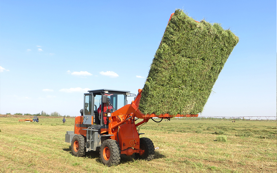 標(biāo)題：9DCK-15方草捆集垛機(jī)
瀏覽次數(shù)：43
發(fā)表時(shí)間：2023-12-12